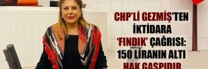 CHP’li Gezmiş’ten iktidara ‘fındık’ çağrısı: 150 liranın altı hak gaspıdır 