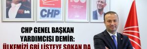CHP Genel Başkan Yardımcısı Demir: Ülkemizi gri listeye sokan da aynı hükümet!