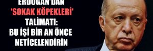 Erdoğan’dan ‘sokak köpekleri’ talimatı: Bu işi bir an önce neticelendirin 