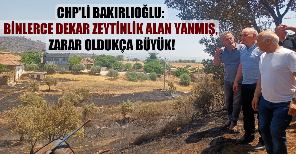 CHP’li Bakırlıoğlu: Binlerce dekar zeytinlik alan yanmış, zarar oldukça büyük!