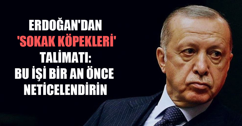 Erdoğan’dan ‘sokak köpekleri’ talimatı: Bu işi bir an önce neticelendirin