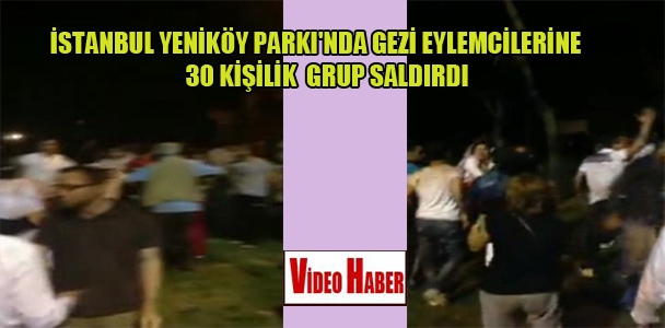 İstanbul Yeniköy Parkı'nda Gezi eylemcilerine 30 kişilik grup saldırdı